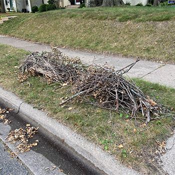 A pile of brush at the curb
